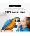 Pets Vv Rope Bungee Bird Toy, Bird Perch
