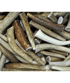 Downtown Pet Supply, 2 Pound Antler Variety Value Pack, Deer Antler Elk Chews, All Natural Premium Long Lasting Dog Treat Chew Sticks (from The USA) - Antlers by The Pound