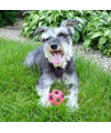 Gnawsome 2.5 Squeak & Light Soccer Ball Dog Toy - Small, Promotes Dental and Gum Health for Your Pet, Colors will vary, 2.5