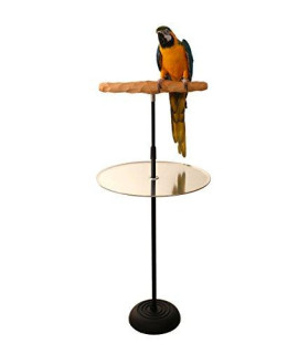 Parrot Training Perch Stand with Potty Tray (Medium T Perch Hardwood)