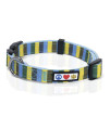 Pawtitas Multicolor Dog collar Puppy collar Pet collar Multicolor Dog collar Small Dog collar Blue Yellow green Dog collar