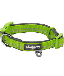 Blueberry Pet Soft & Safe 3M Reflective Neoprene Padded Adjustable Dog Collar - Green Flash, Medium, Neck 145-20