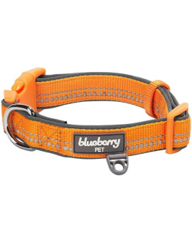 Blueberry Pet Soft & Safe 3M Reflective Neoprene Padded Adjustable Dog Collar - Orange Peel, Medium, Neck 145-20