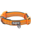 Blueberry Pet Soft & Safe 3M Reflective Neoprene Padded Adjustable Dog Collar - Orange Peel, Small, Neck 12-16