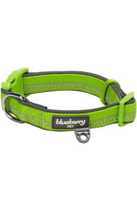 Blueberry Pet Soft & Safe 3M Reflective Neoprene Padded Adjustable Dog Collar - Green Flash, Small, Neck 12-16