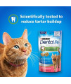 Purina DentaLife Made in USA Facilities Cat Dental Treats, Savory Salmon Flavor - 13.5 oz. Canister