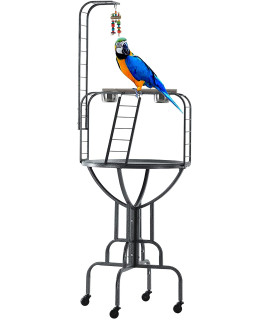 Elegant and Durable Wrought Iron Parrot Bird Play Rolling Stand Perch Gym Ground with Metal Ladder Toy Hook (BlackVein)