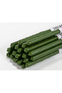 Panacea 84185 2 ft / 24" Green Coated Metal Plant Sturdy Stakes - Quantity 300