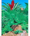 48(L) x 19 (H) Double Sided Aquarium Background Decorations Fish Tank