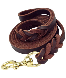 Berry Pet Leather Dog Leash - Training Walking Dog Leash - Braided Brown 5 Ft By 34 In (160Cm 16Cm) - Latigo Leather