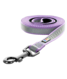 Pawtitas 6 FT Padded Dog Leash with comfortable Neoprene Padding Handle - Purple Lead Medium Reflective Dog Leash with Highly Reflective Band Perfect for Medium and Large Dogs and Puppies