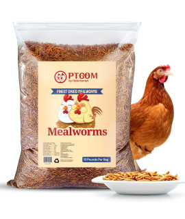 Hatortempt 10lbs Bulk Non-GMO Dried Mealworms for Reptile, Tortoise, Amphibian, Lizard, Wild Birds, Chickens, Duck, Poultry etc