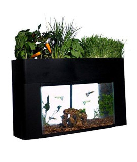 AquaSprouts Garden, Self-Sustaining Desktop Aquarium Aquaponics Ecosystem, Fits Standard 10 Gallon Aquariums