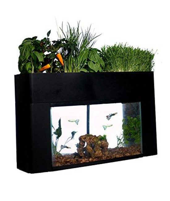 AquaSprouts Garden, Self-Sustaining Desktop Aquarium Aquaponics Ecosystem, Fits Standard 10 Gallon Aquariums