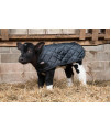 Weaver Leather Livestock Calf Blanket