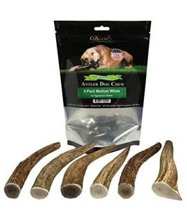 Deluxe Naturals Elk Antler Dog chews Long-Lasting A-grade Premium Elk Antler chews for Dogs from Naturally Shed Elk Antlers collected in The USA, Whole, Medium (Pack of 6)