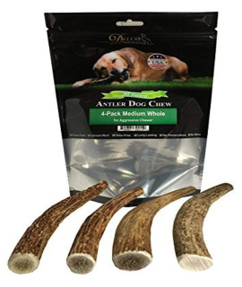 Deluxe Naturals Elk Antler Dog chews Long-Lasting A-grade Premium Elk Antler chews for Dogs from Naturally Shed Elk Antlers collected in The USA, Whole, Medium (Pack of 4)