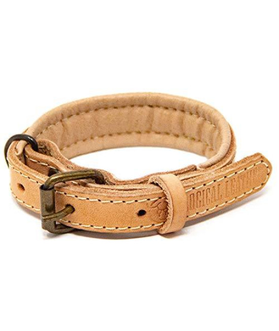 Logical Leather Padded Dog collar - Best Full grain Heavy Duty genuine Leather collar - Tan - Extra Small