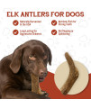 Elk Antlers for Dogs - Grade A, Naturally Shed Antlers | Long Lasting Dog Bones for Aggressive Chewers & Teething Puppies | All Breeds Chew Toy USA Made & Veteran Owned | Large: 7 Whole Elk, 2-Pack