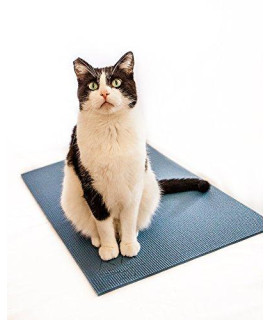 Feline Yogi cat Mat with catnip cat Toy. cat Scratching Post Bed Activity Play Mat (Blue)