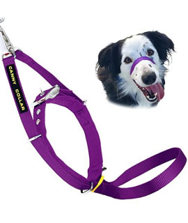 Canny Collar Dog Head Collar, No Pull Leash Training Head Harness, Easy To Fit Halter That Stops Pulling, Comfortable Calm Control With Padded Collar