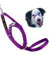 Canny Collar Dog Head Collar, No Pull Leash Training Head Harness, Easy To Fit Halter That Stops Pulling, Comfortable Calm Control With Padded Collar