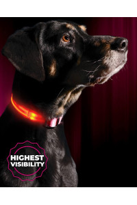 LED Dog collar, USB Rechargeable, X-X-Small (8.6 - 11.4 22 - 29cm), cotton candy Pink