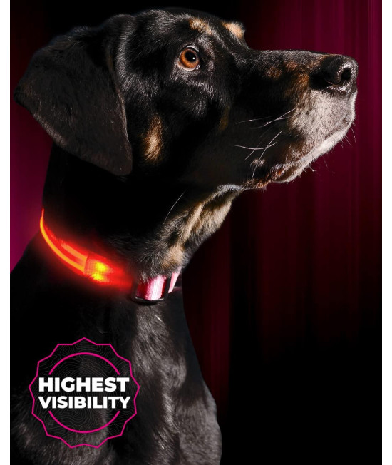 LED Dog collar, USB Rechargeable, X-X-Small (8.6 - 11.4 22 - 29cm), cotton candy Pink