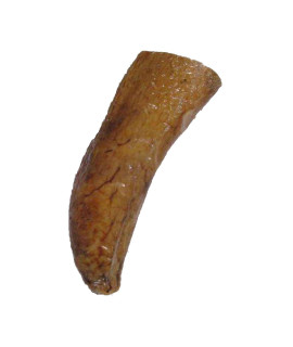 Qt Dog Buffalo Horn core chew (1 Each), Medium