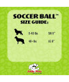 Jolly Pets Large Soccer Ball Floating-Bouncing Dog Toy, 8 inch Diameter, Apple Green