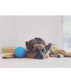 Jolly Pets Medium Soccer Ball Floating-Bouncing Dog Toy, 6 inch Diameter, Ocean Blue