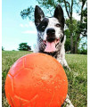 Jolly Pets Large Soccer Ball Floating-Bouncing Dog Toy, 8 inch Diameter, Orange