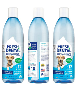 Naturel Promise Fresh Dental Water Additive - Dental Health Solution For Dogs - Easy To Use - Helps Clean Teeth - Freshens Breath Up To 12 Hours - No Brushing Required - 18 Fl Oz 3 Pack
