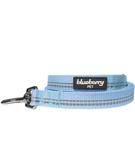 Blueberry Pet 3M Reflective Pastel Color Dog Leash With Soft & Comfortable Handle, 5 Ft X 34, Baby Blue, Medium, Leashes For Dogs