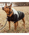 Touchdog Mount Pinnacle Waterproof And Windproof Fashion Designer Insulated Pet Dog Coat Ski Jacket Hooded Raincoat, X-Small, Black