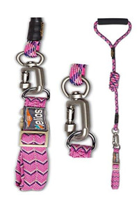 Doghelios Dura-Tough Easy Tension 3M Reflective Adjustable Multi-Swivel Pet Dog Leash And Collar, Medium, Pink