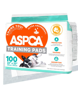ASPcA AS 62931 citrus Scented Training Pads, 100 Pack, gray, 22 x 22 - Pack of 100