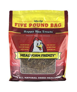 Happy Hen Treats Mealworm Frenzy Pet Treat (1 Pouch), 5 Lb