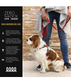 EzyDog Zero Shock Lite Bungee Dog Leash for Small Dogs - Perfect for Dogs 26 lbs or Less - Shock Absorbing Design for Superior Comfort and Control - Reflective for Nighttime Safety (72". Purple)