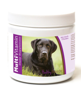 Healthy Breeds Labrador Retriever Multi-Vitamin Soft chews 60 count