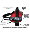 Doggie Stylz Service Dog in Training Harness with Removable Saddle Bag Backpack Harness Carrier Traveling Bag. 2 Patches. Please Measure Dog Before Ordering