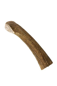 Deer Antlers for Dogs - Premium grade A, Naturally Shed Antlers Long Lasting Dog Bones for Aggressive chewers & Teething Puppies chew Toys for All Breeds USA Made (Medium: 5-6, 1-Pack)