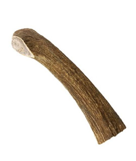 Deer Antlers for Dogs - Premium grade A, Naturally Shed Antlers Long Lasting Dog Bones for Aggressive chewers & Teething Puppies chew Toys for All Breeds USA Made (Medium: 5-6, 1-Pack)