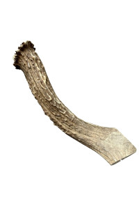 Deer Antlers for Dogs - Premium grade A, Naturally Shed Antlers Long Lasting Dog Bones for Aggressive chewers & Teething Puppies chew Toys for All Breeds USA Made (XL: 8-10, 1-Pack)