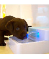 Premium Automatic Electric Pet Water Fountain Dog Cat 1.8 L Drinking Bowl With Led Light And Us Plug