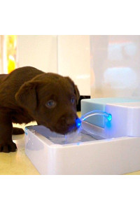 Premium Automatic Electric Pet Water Fountain Dog Cat 1.8 L Drinking Bowl With Led Light And Us Plug