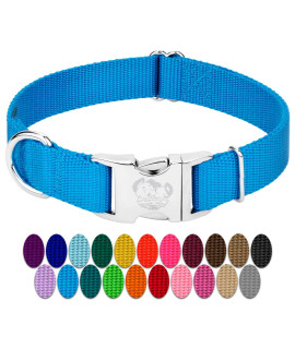 country Brook Design - Vibrant 25+ color Selection - Premium Nylon Dog collar with Metal Buckle (Large, 1 Inch, Ice Blue)