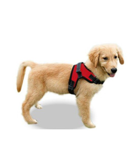 Copatchy No Pull Reflective Adjustable Dog Harness with Handle (Medium Red)