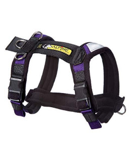 Alpine Urban Trail Adjustable Dog Harness (Small 18-24 Purple)