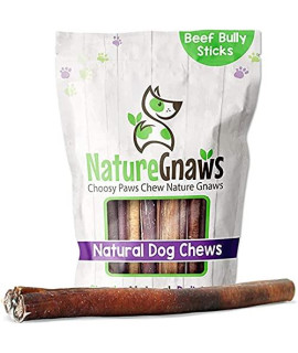 Nature gnaws Extra Large Bully Sticks for Dogs - Premium Natural Beef Dental Bones - Thick Long Lasting Dog chew Treats for Aggressive chewers - Rawhide Free
